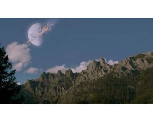 Чёрные цветы (2018) Чёрные цветы (2018)