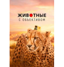 Животные с объективом (2018) (2018)