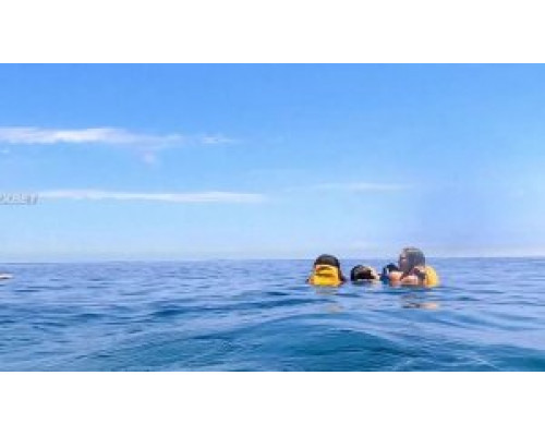 Мертвое море (2024) смотреть фильм Мертвое море (2024) смотреть фильм