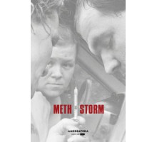 Метамфетаминовый шторм (2017)