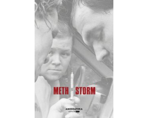 Метамфетаминовый шторм (2017) Метамфетаминовый шторм (2017)