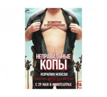 Неправильные копы 2013