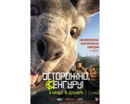 Осторожно, Кенгуру! (2020) Осторожно, Кенгуру! (2020)