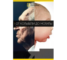 От колыбели до могилы (2017)